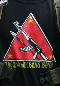 NPA-reb1