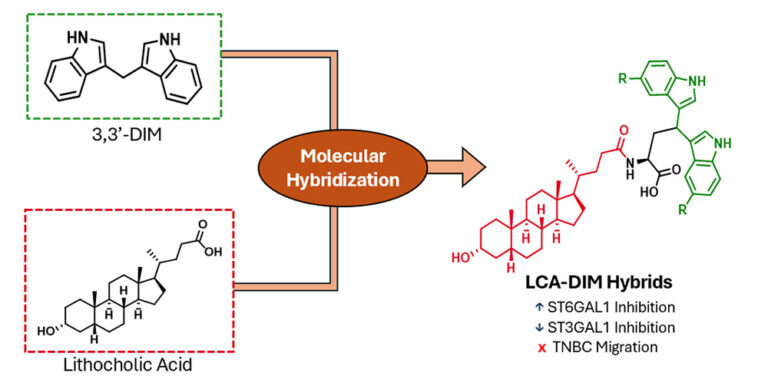 LCA-DIM-Hybrid-Graphical-Abstract