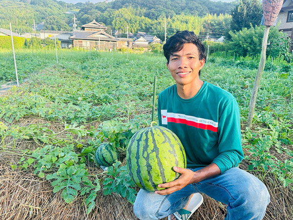 Bountiful-harvest