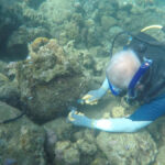 Photo-1